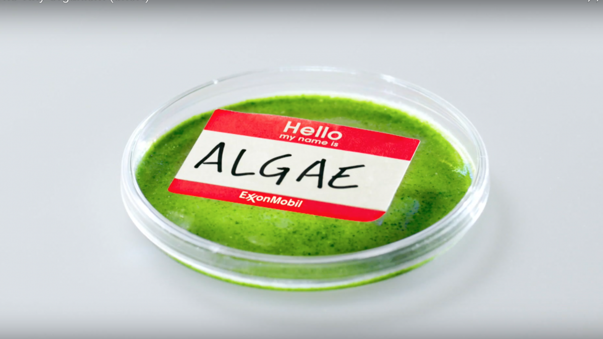 Greenwashing Exxon: vergrootglas op onderzoek (!) naar algen